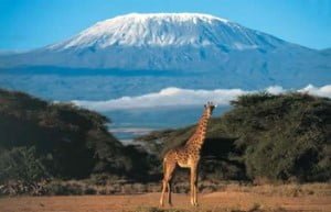 12 Dagen Kenia Dream Safari + 6 dagen strand