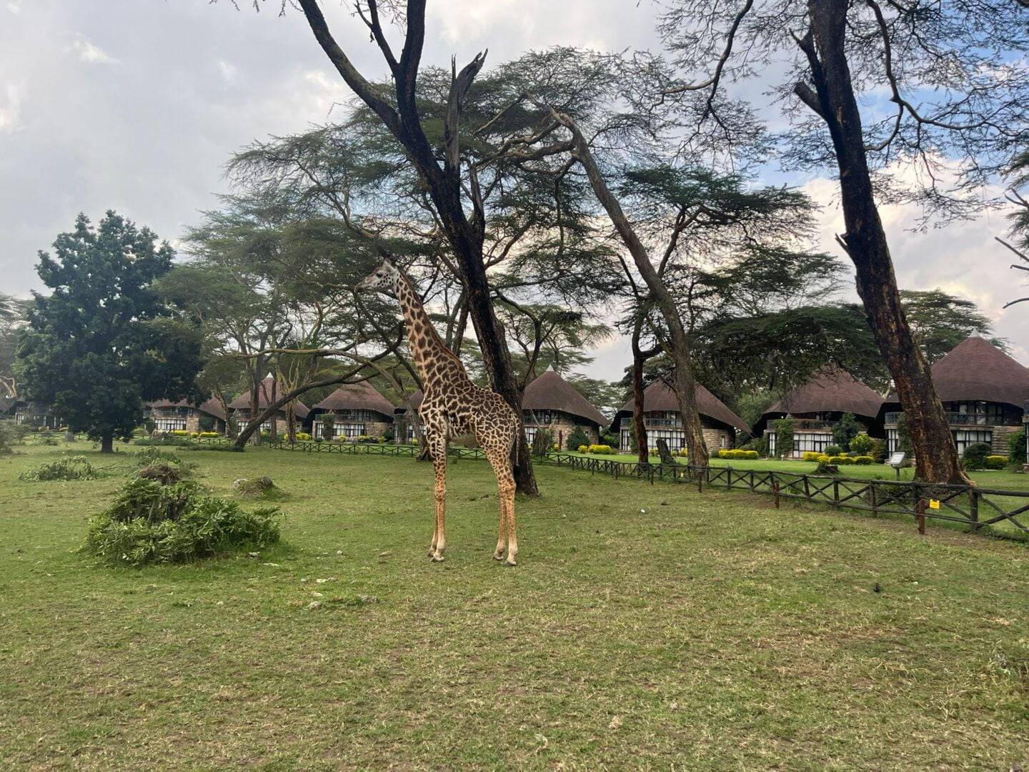 Sopa Lodge Lake Naivasha_Cinthia