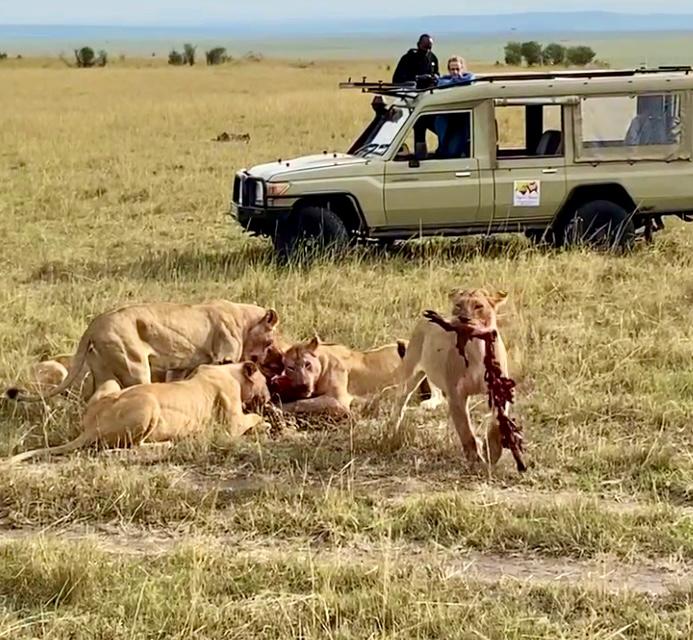 vakantie-inkenia-masai-mara_02