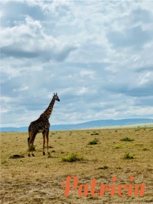 vakantie-inkenia-masai-mara_03